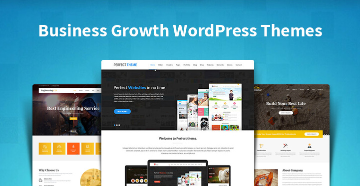 Custom WordPress theme development for business growth